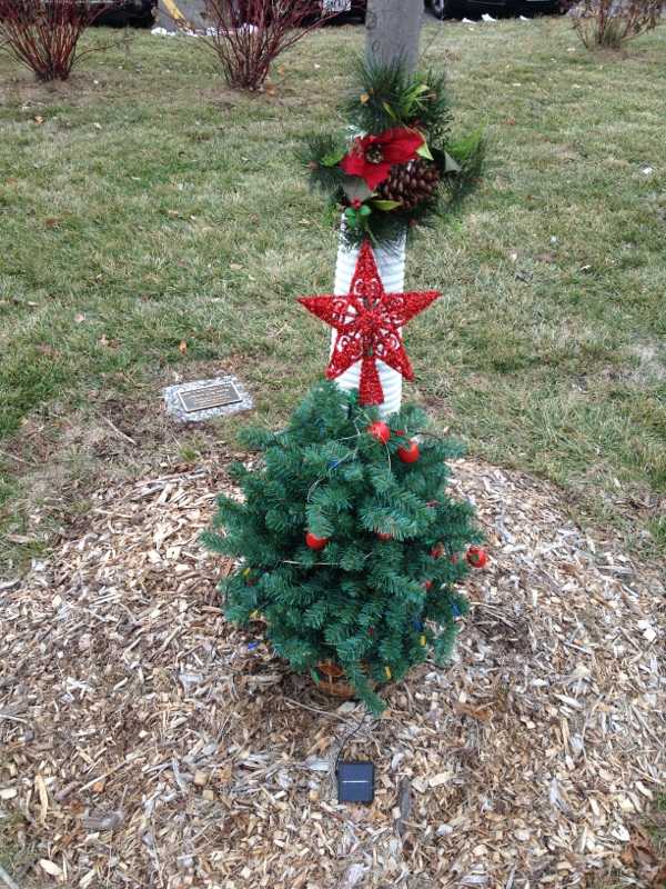 The miniature Christmas tree equipped with red and blue solar powered lights.