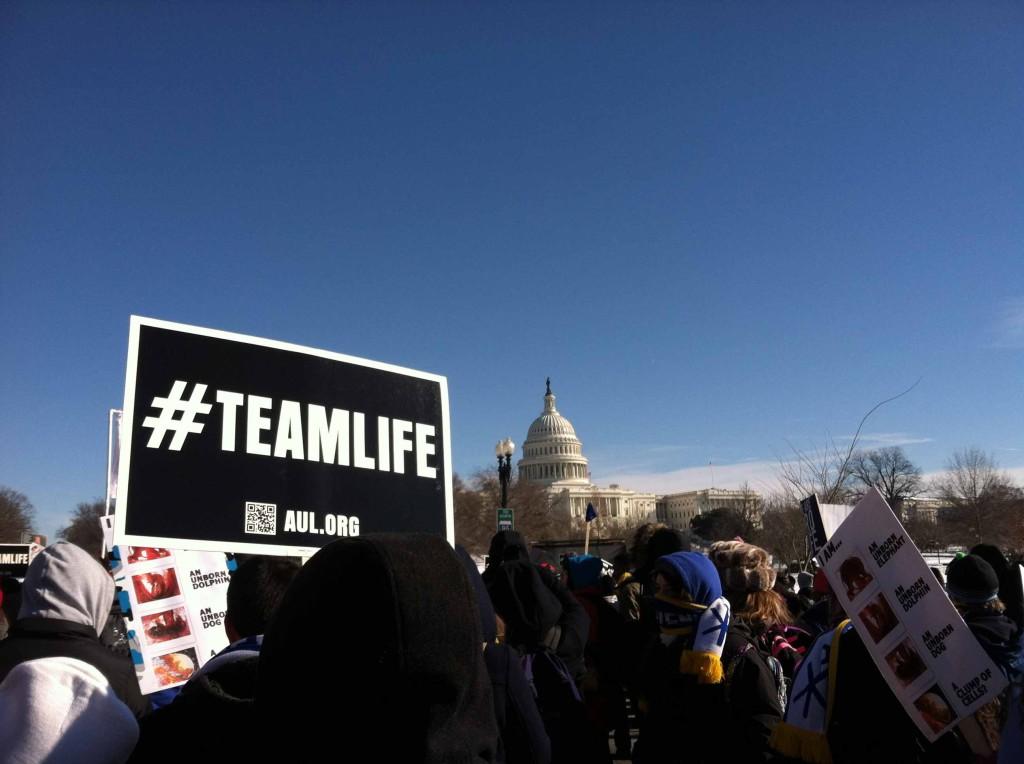 Marchers make their way up Capitol Hill. Between 600,000 and 700,000 participated in the March for Life.