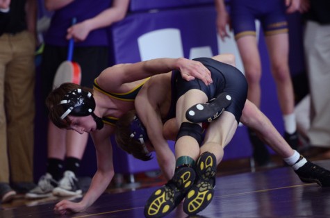 Wrestlers qualify for state dual tournament, send nine to individual state