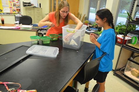 Science Club comes to life