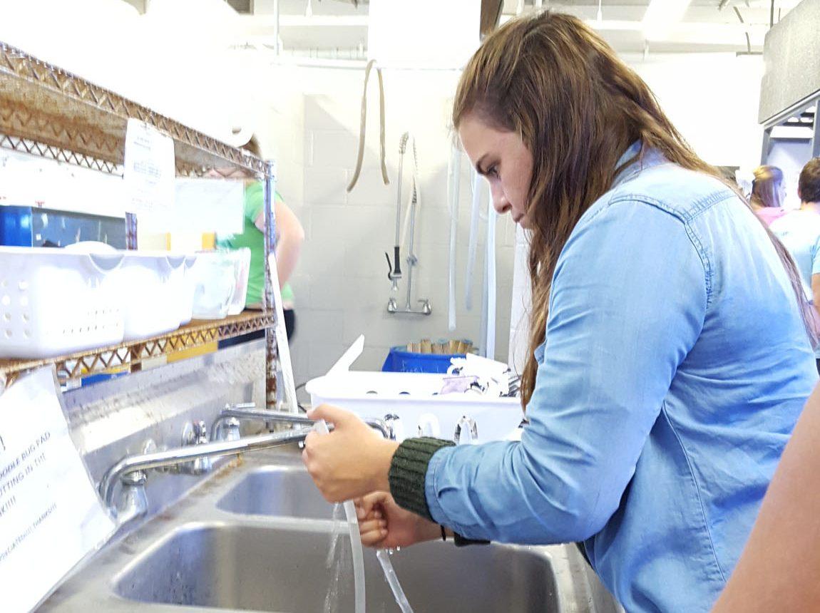 Grace Henderson 17 cleans tubes from the marine biology class fish tanks. Students in this program have different shifts that involve feeding fish and cleaning tanks.