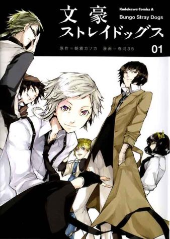 Bungou Stray Dogs: not worth the read