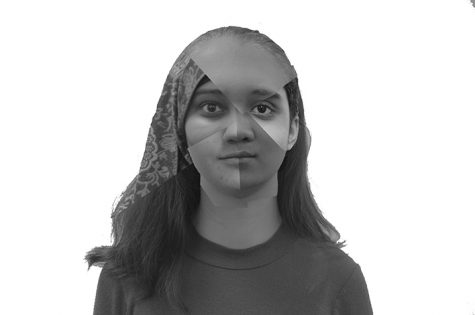 Student diversity succumbs to stereotypes