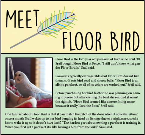 Meet Floor Bird