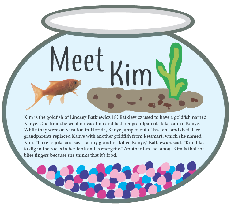 Meet Kim