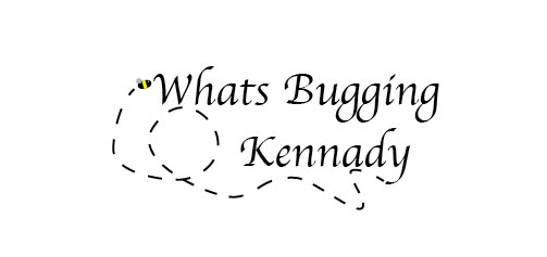 Social Policies - Whats Bugging Kennady