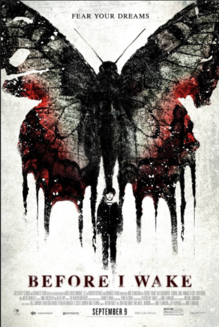 Before I Wake was a dream