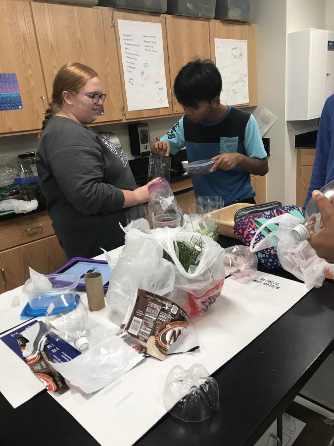 Lulmuan Sanga 21 and Madelyn Whitehead 21 place snails in their ecobottle in biology. They made two bottles one containg dirt, plants and some sort of insect. The other bottle had to containing water, a water plant and water insects. 